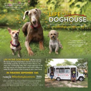 doghouse-3